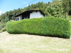 projekte-008-hecke-nachher.jpg